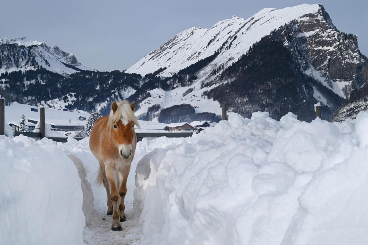 Au (Vorarlberg)Haus Bergquellアパートメント エクステリア 写真